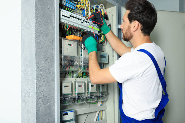 Best Electrical System Inspection  in Fritz Creek, AK